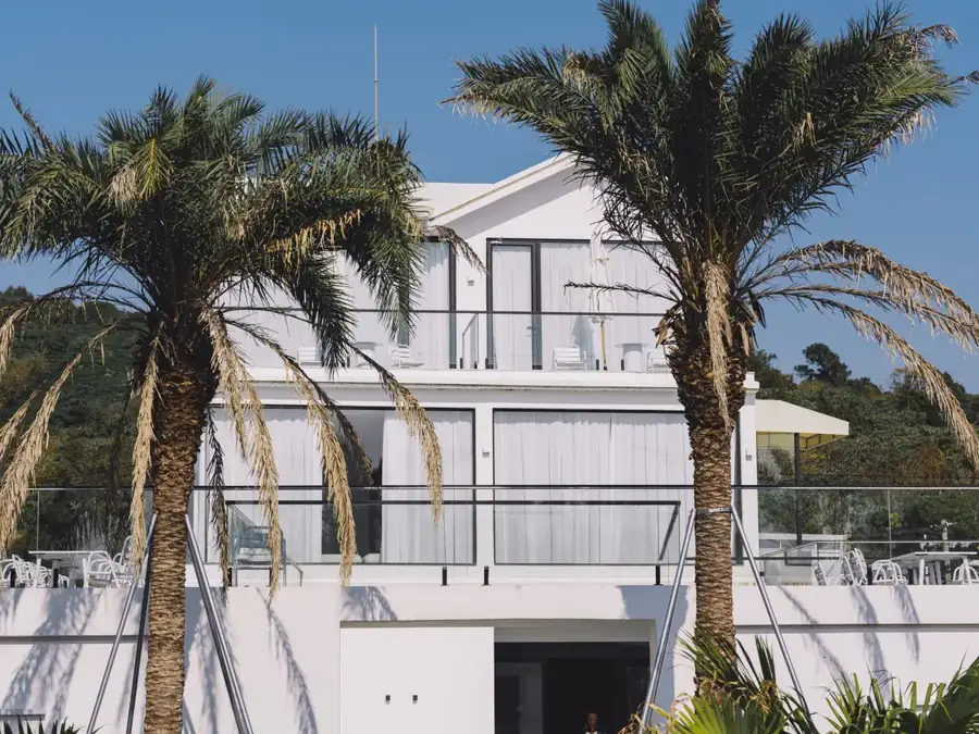 White house with palm trees
