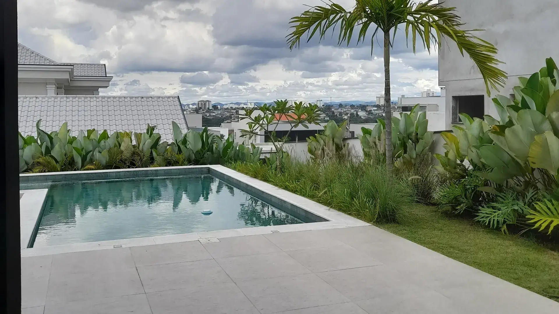 Pool with a light-colored deck and a palm tree